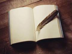 Nelsi Pepper 일기장