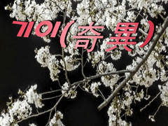 기이(奇異) - 1화 도화랑(桃花浪)