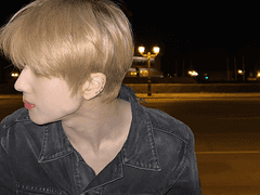 양얼취 S2 세계관 + 투표