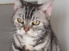 2023.4.4 네가 처음으로 방 밖으로 나온 날