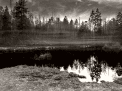 [트럿오르]늪지에서의 엇갈린 사랑