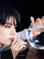 틈새로 반짝이는