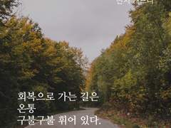 회복은 어떻게 하나요