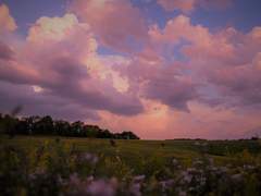 [귀멸] 잔인한 자여, 그대 이름은