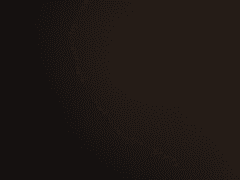 다시 읽는 전독시