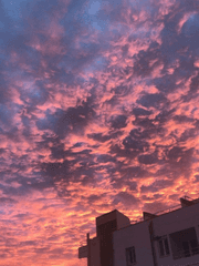 원나잇으로 사랑이 가능한가요?!