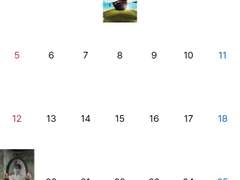 23년 3월 관극정산