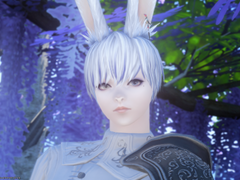 델시아Delchia (페나제 무루크 Venase Muruc)