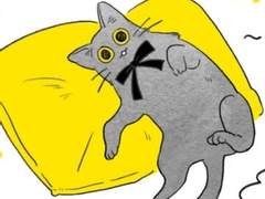 뮤지컬+개와 고양이의 시간