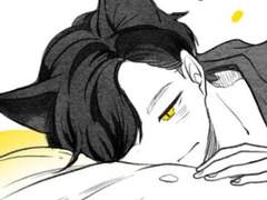 뮤지컬+개와 고양이의 시간