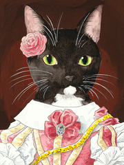 시작사 시리즈 그림들