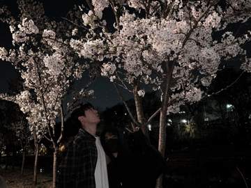 🌸벚꽃구경🌸