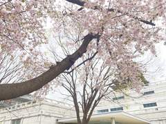 [호열백호호열] Toast to the