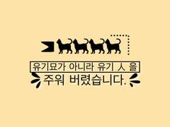 [단편] 유기묘가 아니라 유기 人 을 주웠버렸습니다 2 -마이키 (사노 만지로) 드림 -