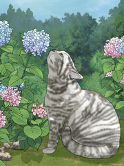 sahel 가끔의 브러쉬 공간