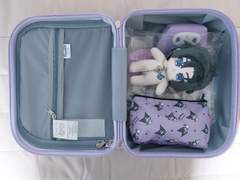 솜뉴비의 unnämed/유상 속성 첫 솜인형 갠제 후기