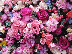 the scent of 🖤 INFO.