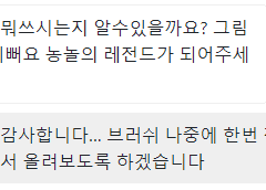 클튜 브러쉬 공유합니다