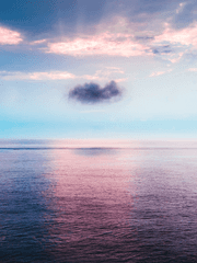 수국의 바람 (가제)