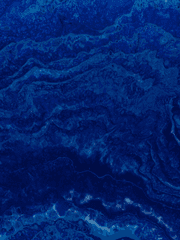 라이브바에서 청춘을 부르다.