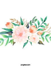 마기카로기아 팬시나리오