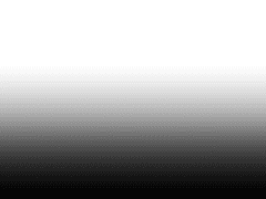 백나비 선관로그