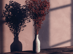 건우주단 [Frequently seen faces]