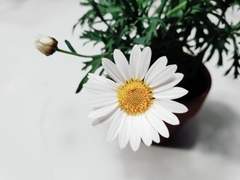 2화 (완결) 당신이 어떤모습이든 , 난 당신과 함께야 (탈 x 종)