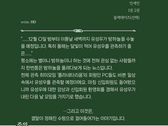 HD 내지 편집 커미션