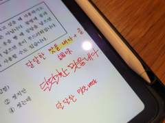 D+44 김치 얘기만 한 시간 하는 한국인