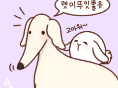 렛미뚜잇뽈유~ 뭐든지 대신 해주는 귀여운 보르조이