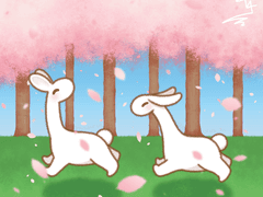 흩날리는 벚꽃잎🌸 사이로 뛰어노는 바니사우루스들🐰🩷