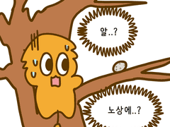 2화 둥지없이 잘 살아요 흰제비갈매기