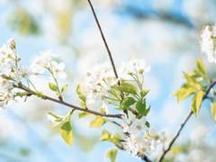 태섭대만 : 안녕에게 안녕을