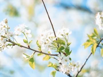 태섭대만 : 안녕에게 안녕을