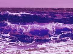 자유를 손에 넣었다.