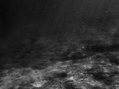 <리그로우 저택 고용인 전용 안내문 - 비공식>