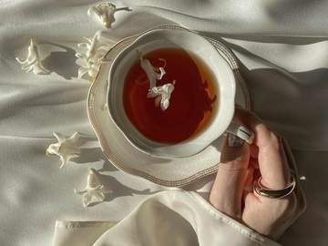 네 홍차에 독을 탔어