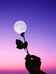 빨간머리 아카이브