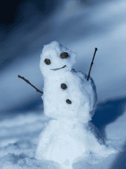 눈사람의 대충살자