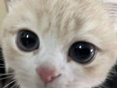 새로운 채널 개설 공지사항