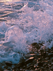 미움이 가득한 세상에서