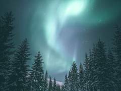 백호(白狐) - 下