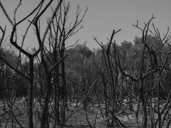 셋째 황자님 (1)