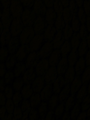 당신의 센티넬에게 투표하세요!