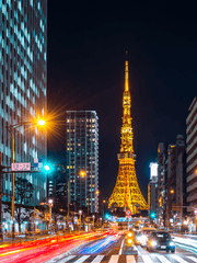 나이트 크로니클