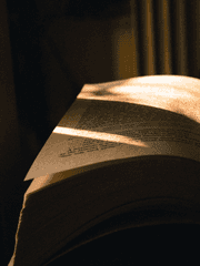 문호와 알케미스트