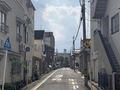 [호열백호] 맥동脈動