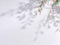 반대과정이론 #04