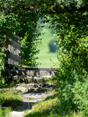 하루하루, 피어나다.